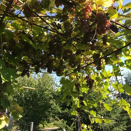 Apartament Nad Morzem Kierzkowo * Choczewo