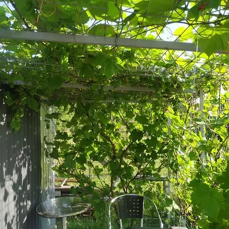 Apartament Nad Morzem Kierzkowo 아파트