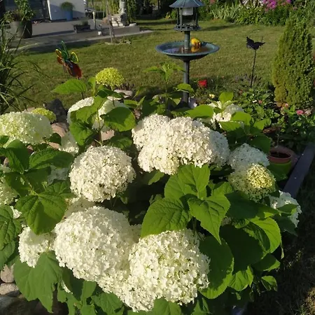Apartament Nad Morzem Kierzkowo *